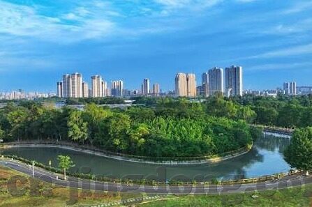 大象吃胡萝卜视频-自然界的奇妙一幕，大象与胡萝卜的温馨邂逅