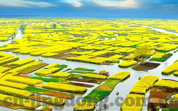 梅麻吕3d动画全集中文字幕-探索成人娱乐文化的多元视角，梅麻吕3D动画全集中文字幕的独特魅力