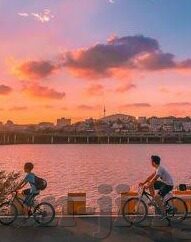 人妻 有码-现代家庭中的角色平衡，人妻与自我价值的探索