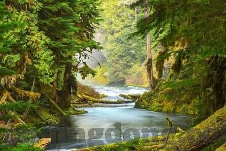 中文字幕伦理电影在线看-探索伦理电影的魅力，中文字幕下的观影体验